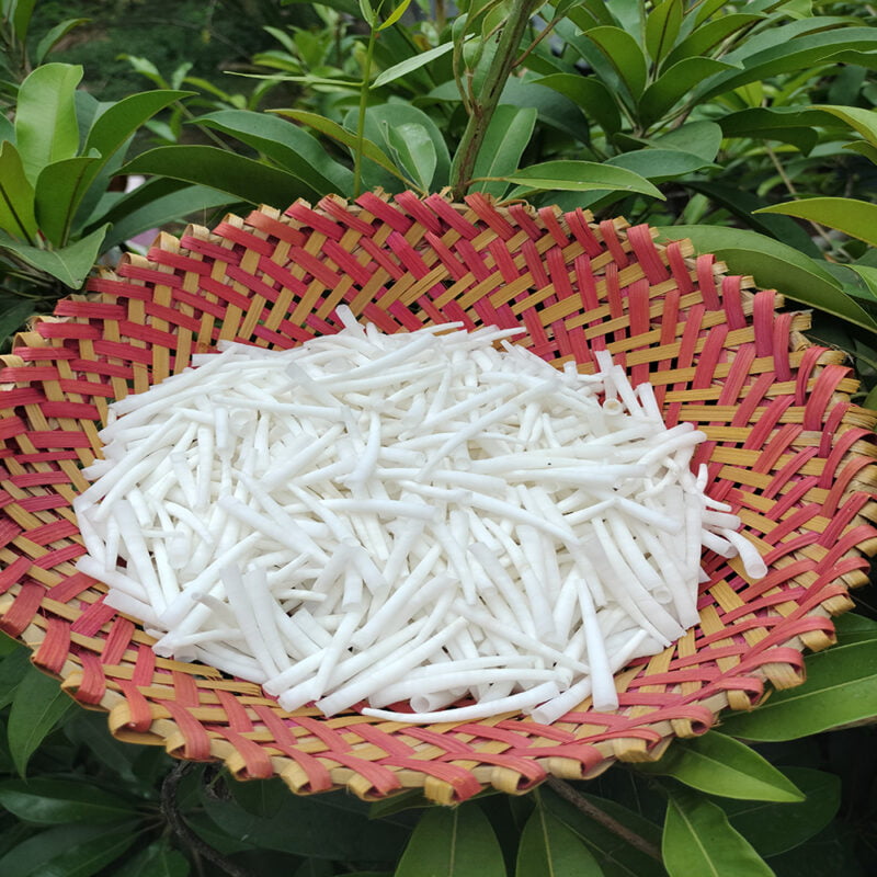 Smooth Dentalium Shells