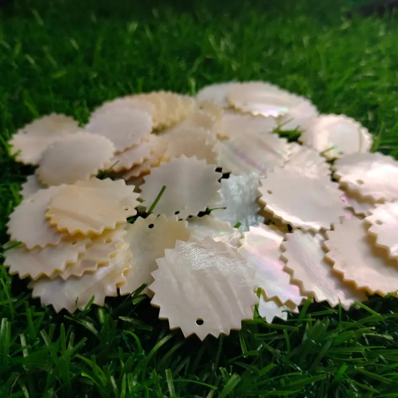 Customized Mother of Shells