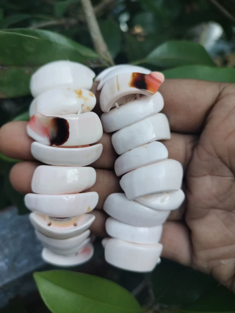 Sea shell White Bracelet - Image 2