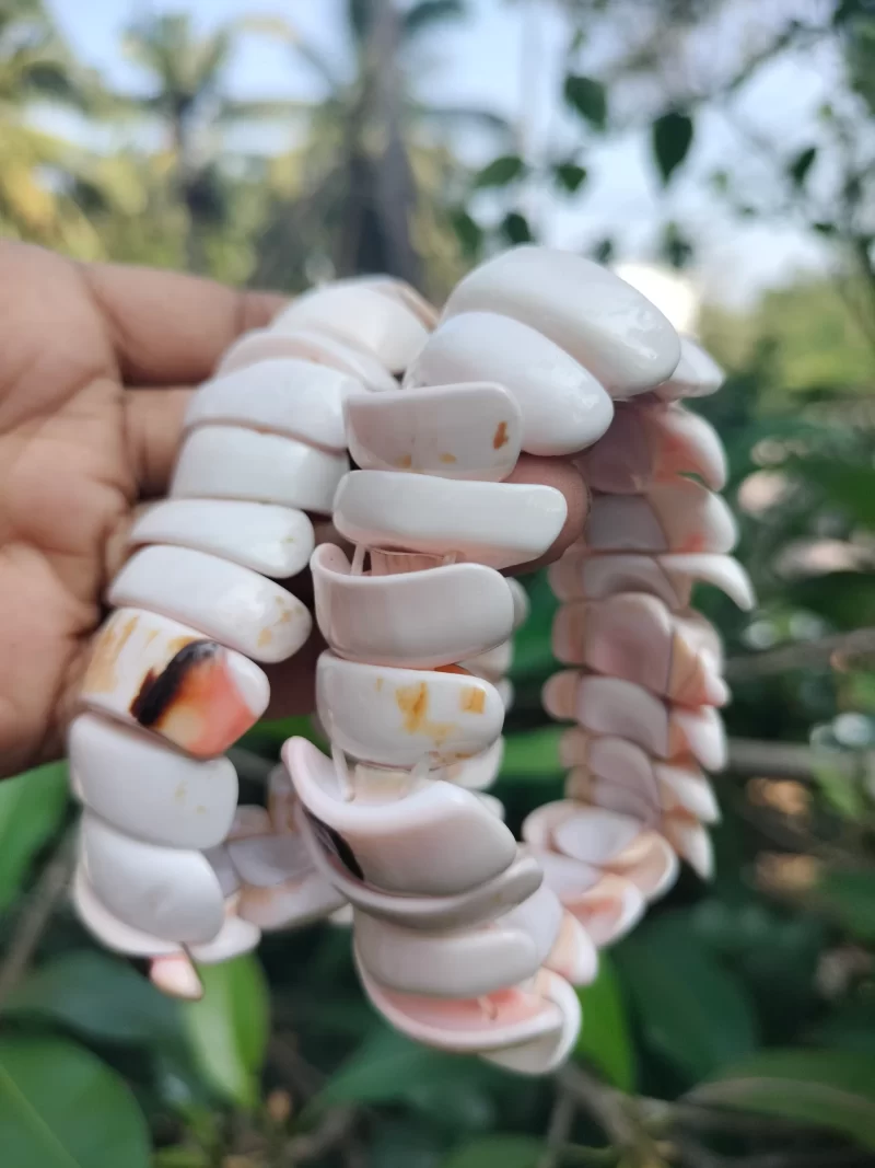 Sea shell White Bracelet - Image 3