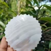 Zigzag Mother of pearl shells Customized Design (1 inch & 4 inch) - Image 5