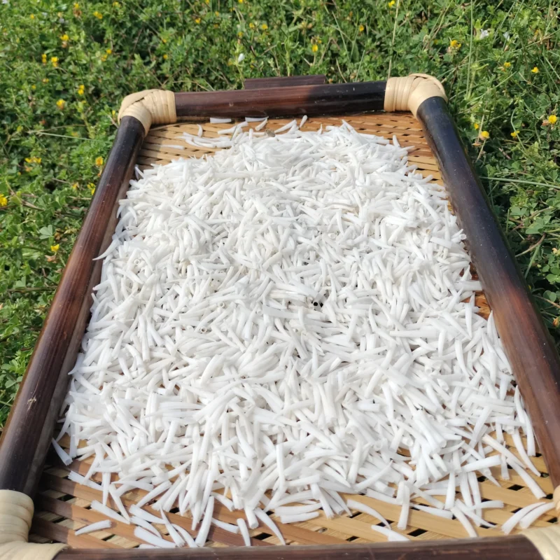 Ridged Dentalium Shells 0.8 To 1.2 Inches ( 2.2Lbs )