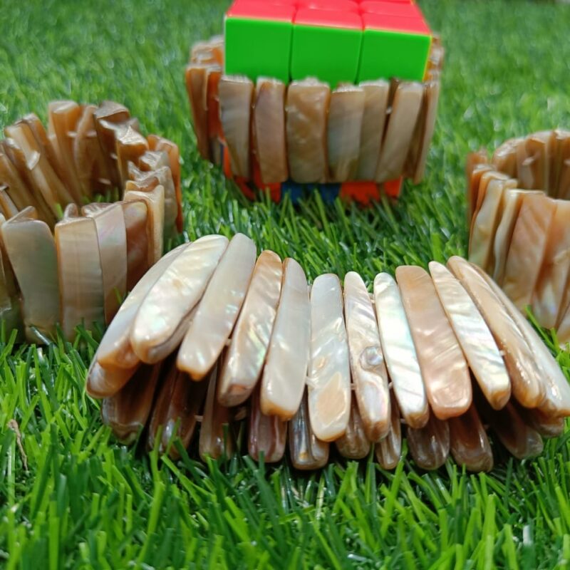 Mother Of Pearl Abalone Seashell Beach Tropical Stretch Bracelet