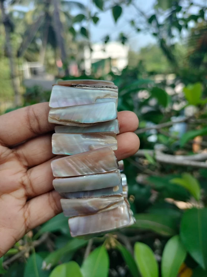 Natural Color Mother Of Pearl Abalone Seashell Beach Tropical Stretch Bracelet - Image 4