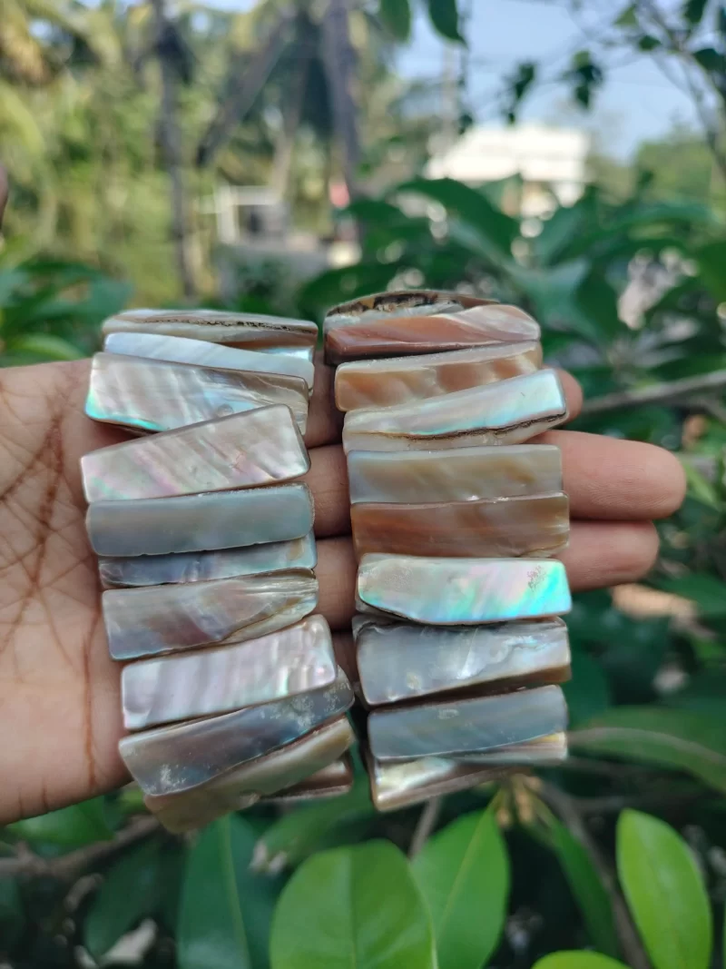 Natural Color Mother Of Pearl Abalone Seashell Beach Tropical Stretch Bracelet