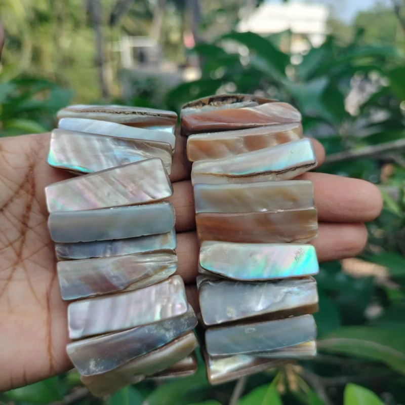 Natural Color Mother Of Pearl Abalone Seashell Beach Tropical Stretch Bracelet