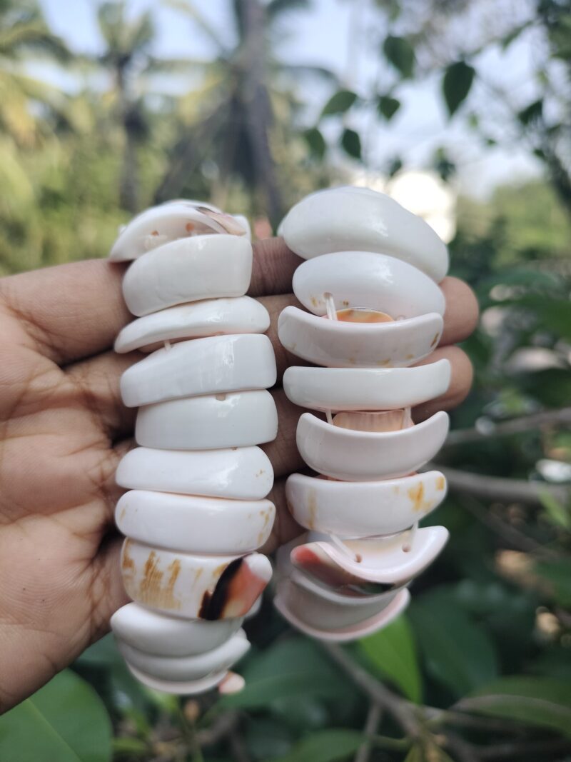 Sea shell White Bracelet - Image 5