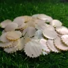Zigzag Mother of pearl shells