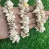 Seashell Handmade bracelet