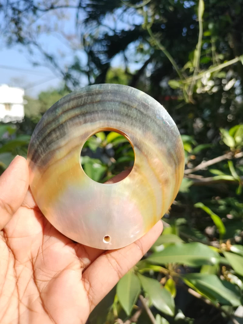 Natural Circle Mother of pearl shells Shine Black and White