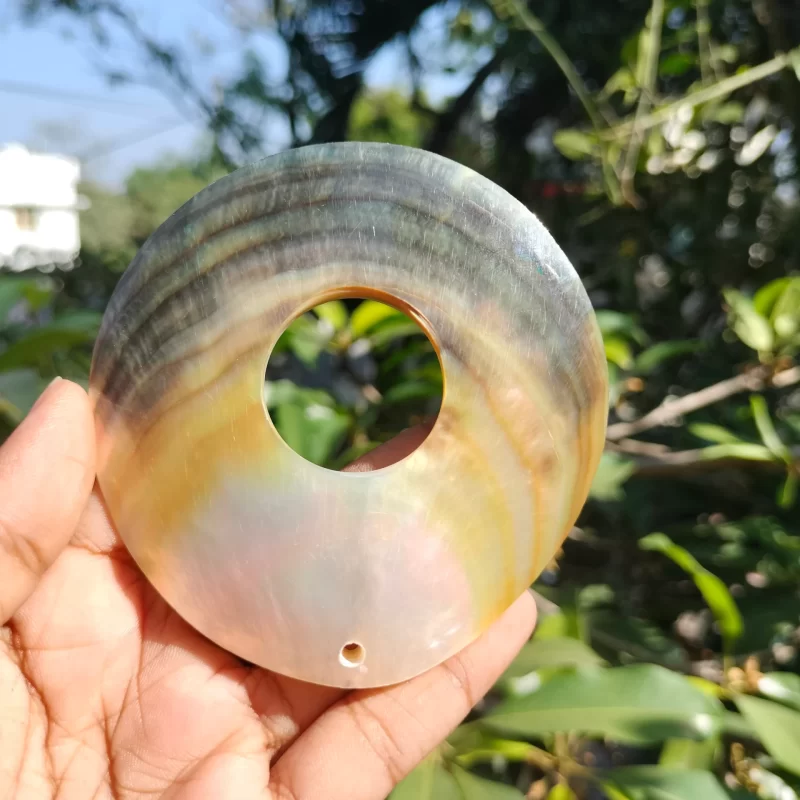 Natural Circle Mother of pearl shells Shine Black and White