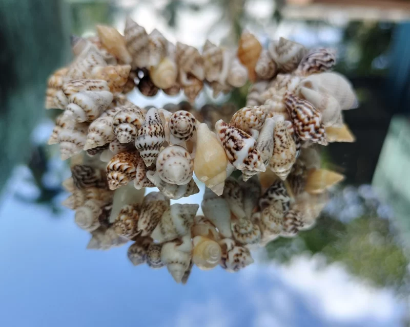 Natural Beach Festival Seashell Handmade bracelet