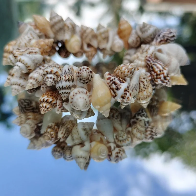 Natural Beach Festival Seashell Handmade bracelet