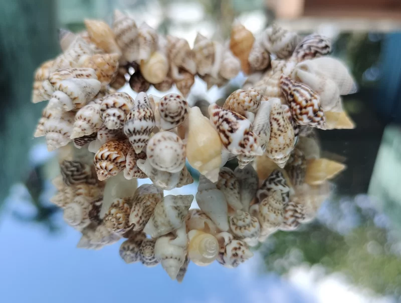Natural Beach Festival Seashell Handmade bracelet