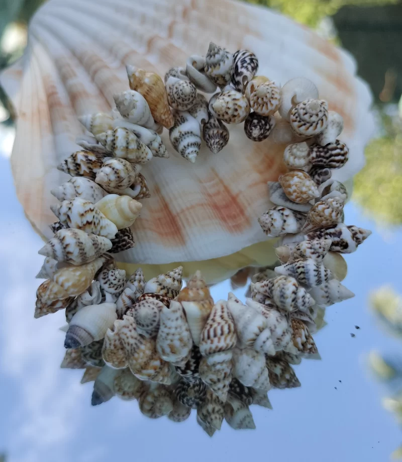 Natural Beach Festival Seashell Handmade bracelet