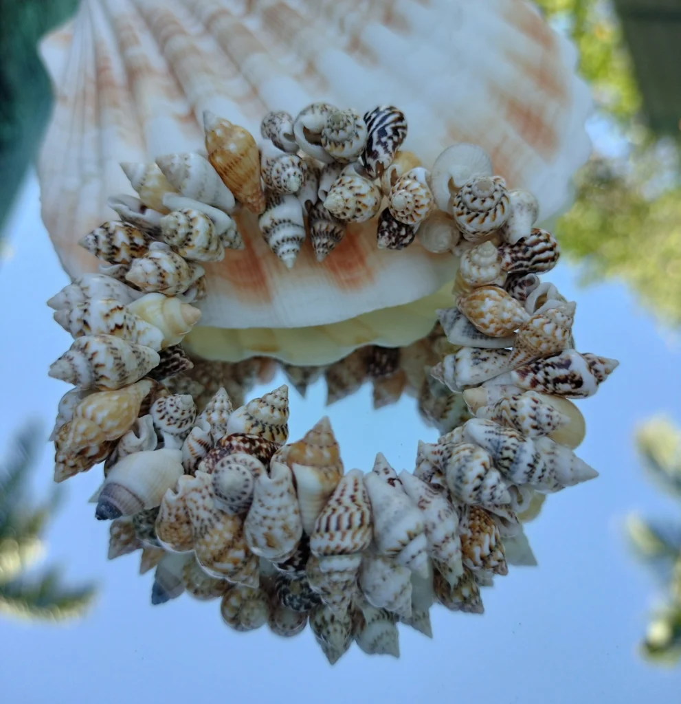 Natural Beach Festival Seashell Handmade bracelet