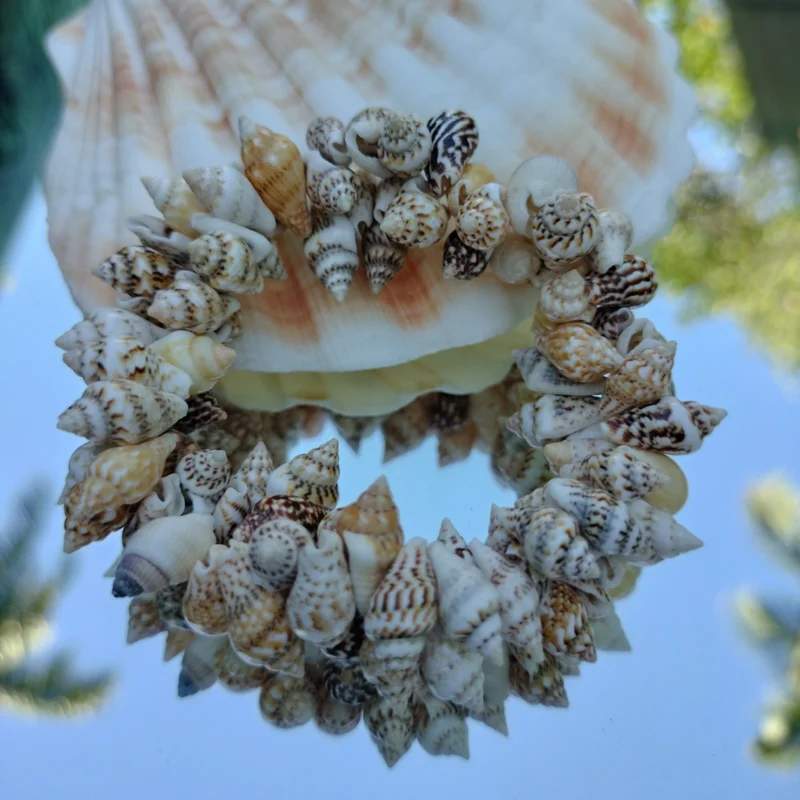 Natural Beach Festival Seashell Handmade bracelet