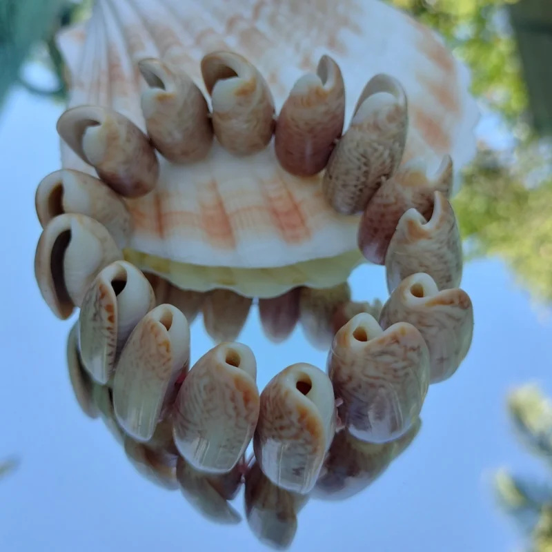 Natural Beach Festival Seashell Handmade bracelet
