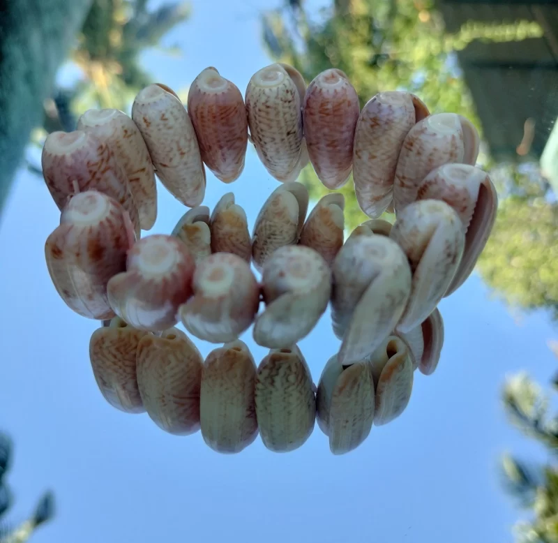 Natural Beach Festival Seashell Handmade bracelet