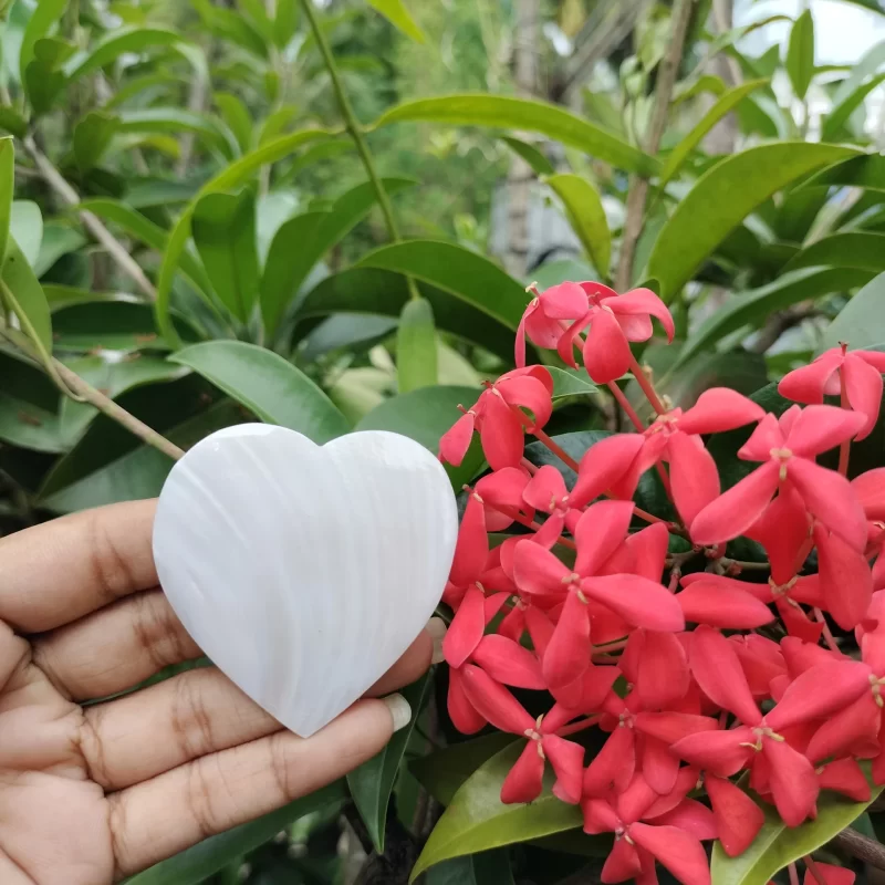 2 Inch Heart Mother of pearl shells (Customized Design)