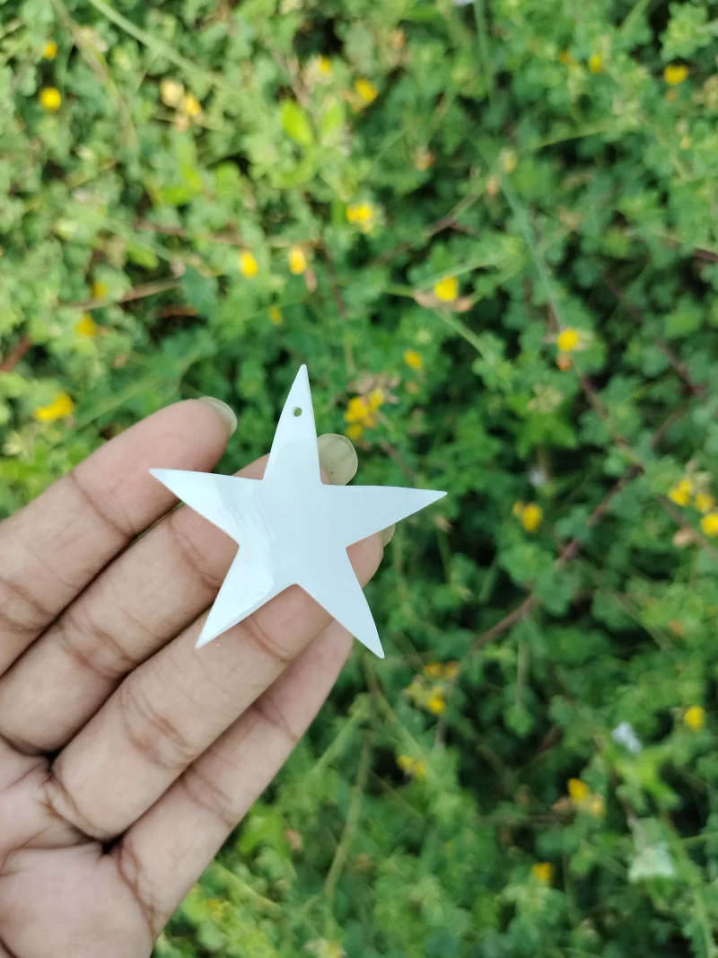 1.5 Inch Star Mother of pearl shells { Customized Design }