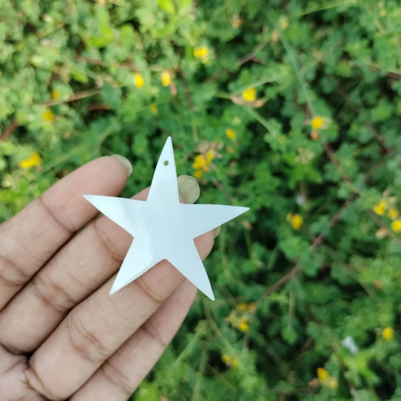 1.5 Inch Star Mother of pearl shells { Customized Design }