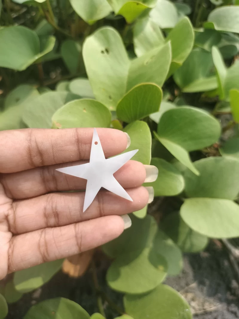 1 Inch Star Mother of pearl shells { Customized Design }