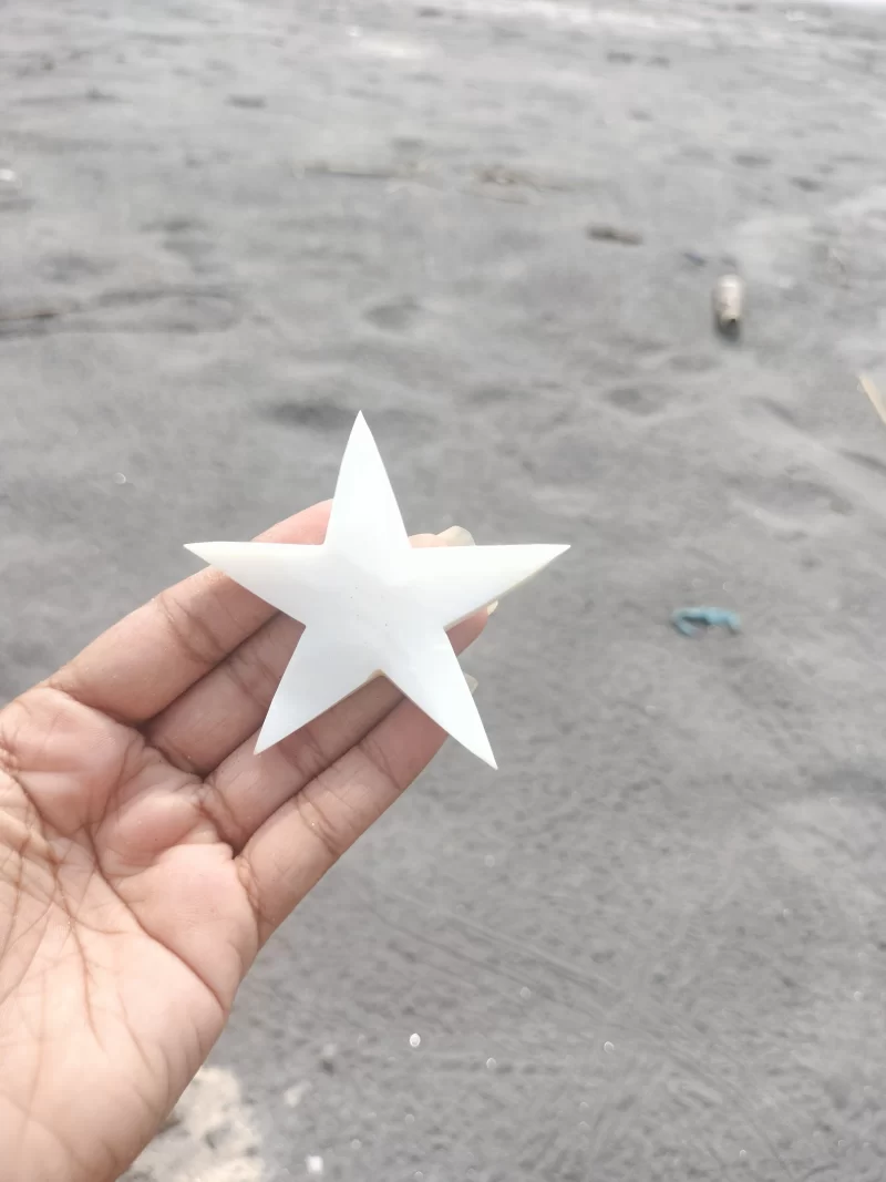 2 Inch Star Mother of pearl shells { Customized Design }