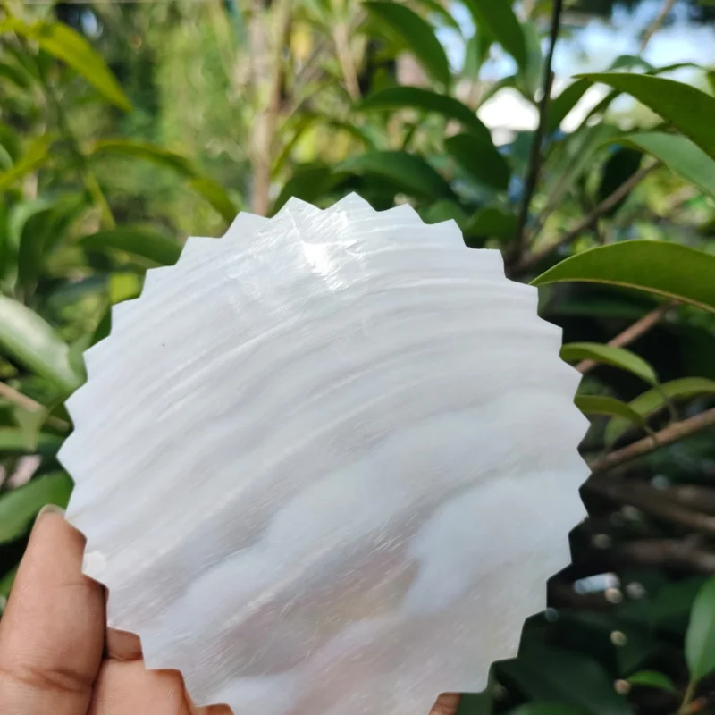 3 Inch Zigzag Mother of pearl shells { Customized Design }