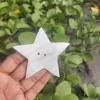 2.5 Inch Star Mother of pearl shells { Customized Design }