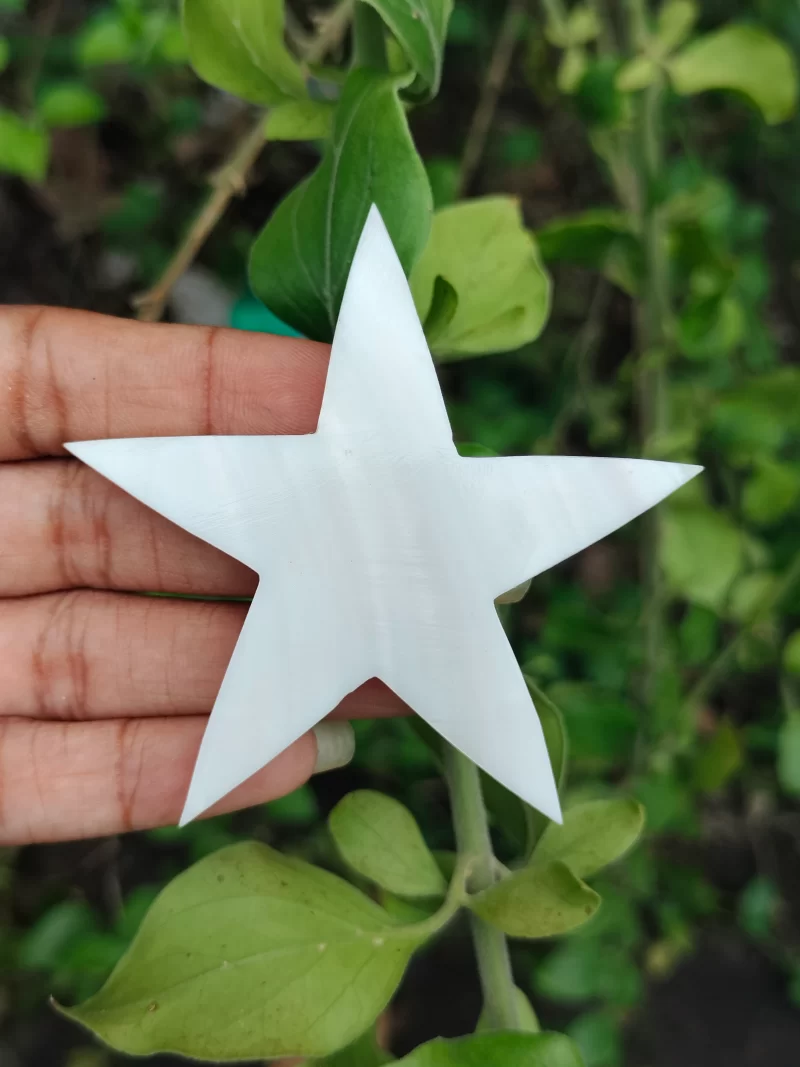 2.5 Inch Star Mother of pearl shells { Customized Design }