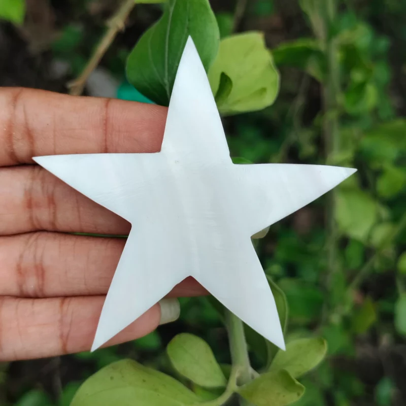 2.5 Inch Star Mother of pearl shells { Customized Design }