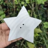 4 Inch Star Mother of pearl shells { Customized Design }