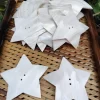 4 Inch Star Mother of pearl shells { Customized Design }