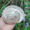 Dim white Abalone Sea Shell 3.5inch to 6 inches