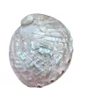 Dim white Abalone Sea Shell 3.5inch to 6 inches