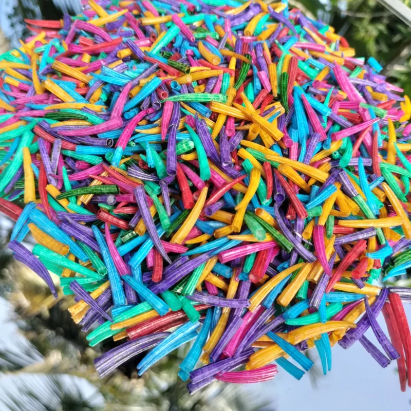 Mixed Colour Ridged Dentalium octagulatum Shells 0.5 to 1 inches { 2.2 Lbs }1 Kg