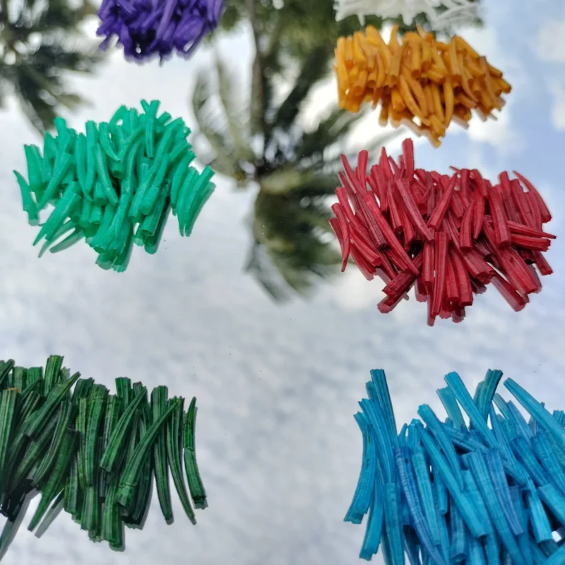 Mixed Colour Ridged Dentalium octagulatum Shells 0.5 to 1 inches { 2.2 Lbs }1 Kg