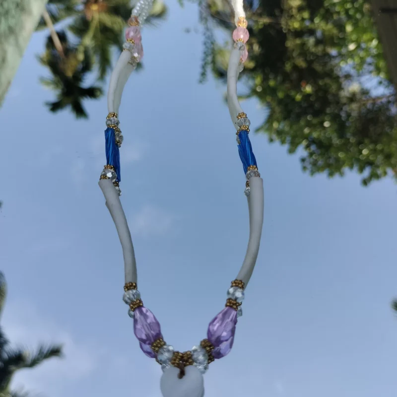 Handmade Dentalium Necklace and Earings