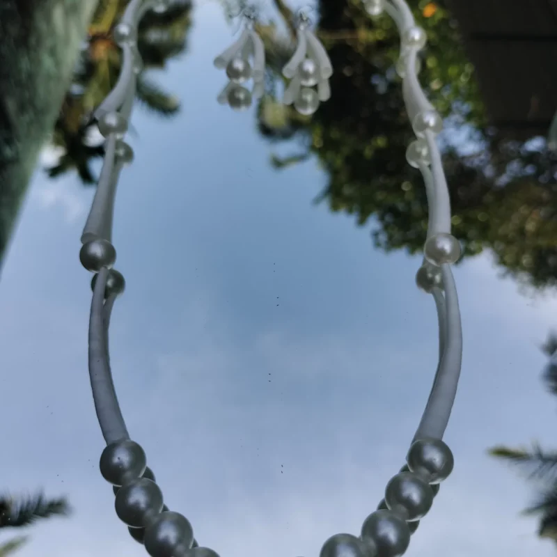 Handmade Dentalium Necklace and Earings