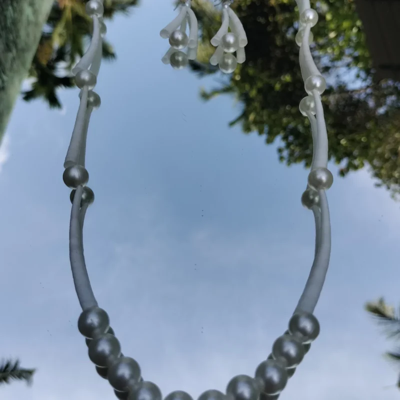 Handmade Dentalium Necklace and Earings