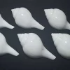 Turbinella pyrum Natural Sea Shell { 145 to 152 mm }