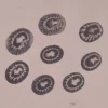 Clypidina notata Natural Sea Shell { 15.15 to 20.70 mm }