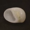 Polinices mammilla Natural Sea Shell { 25.47 mm }