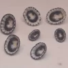 Clypidina notata Natural Sea Shell { 12.91 to 20.66 mm }