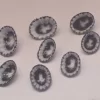 Clypidina notata Natural Sea Shell { 15.15 to 20.70 mm }