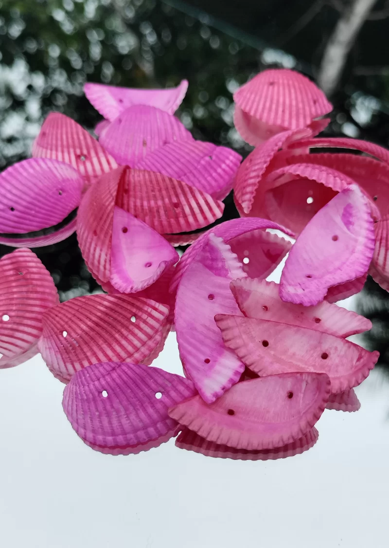 Decorative Colored jewellery macking Sea Shells