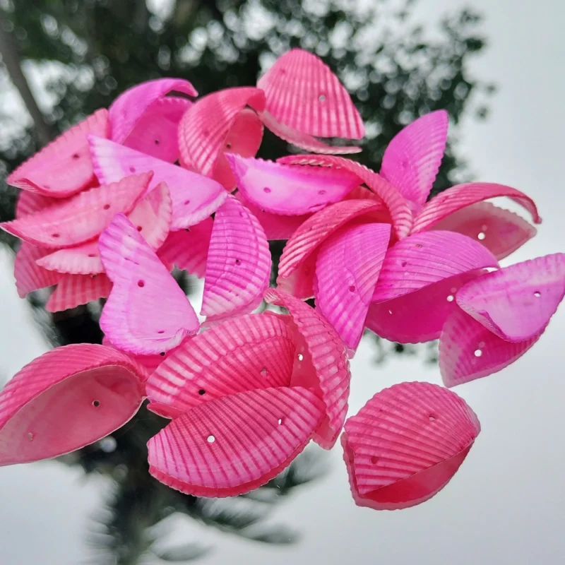 Decorative Colored Sea Shells