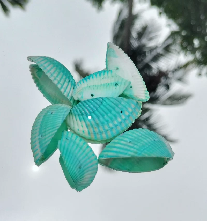 Decorative Colored jewellery macking Sea Shells
