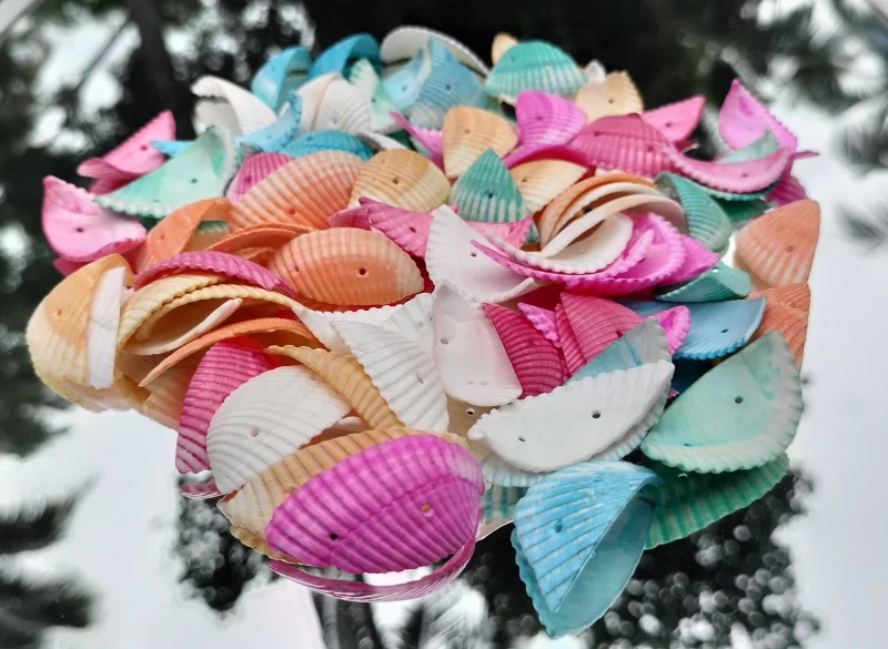 Decorative Colored jewellery macking Sea Shells